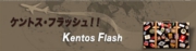 flash.jpg